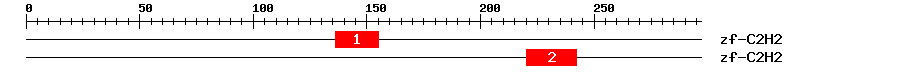 Signature Domain
