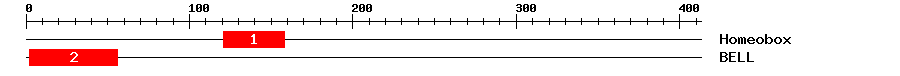 Signature Domain