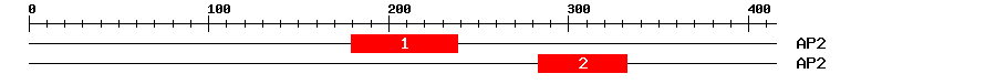 Signature Domain