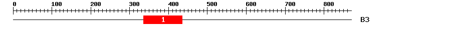 Signature Domain