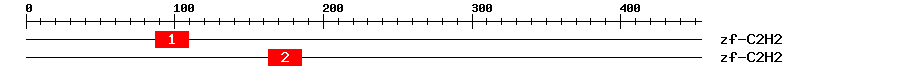 Signature Domain