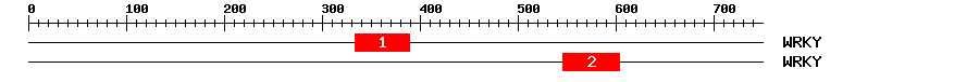 Signature Domain