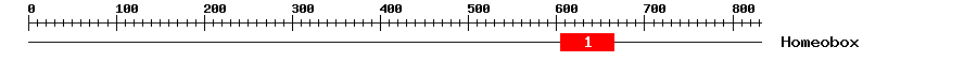 Signature Domain