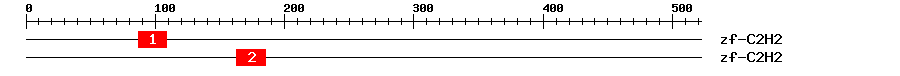 Signature Domain