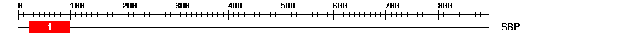 Signature Domain