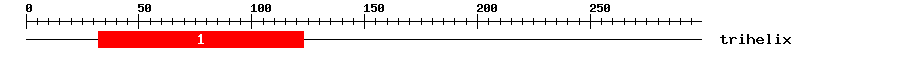 Signature Domain