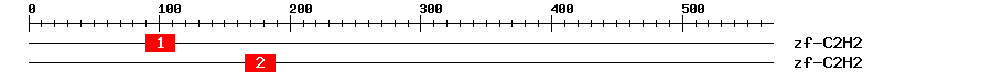 Signature Domain