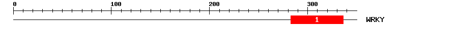 Signature Domain