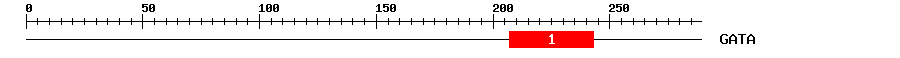 Signature Domain
