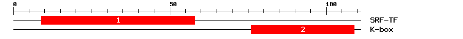 Signature Domain