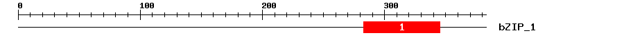 Signature Domain