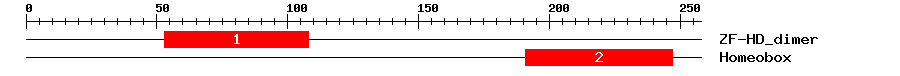 Signature Domain
