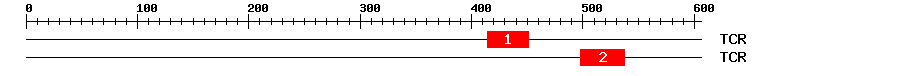 Signature Domain
