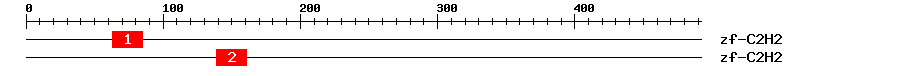 Signature Domain