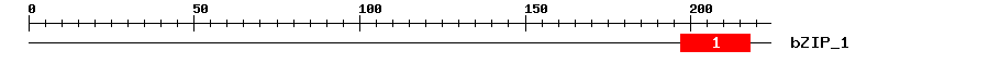 Signature Domain