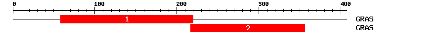 Signature Domain