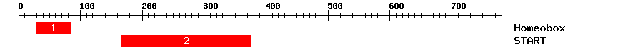 Signature Domain