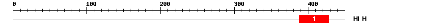 Signature Domain