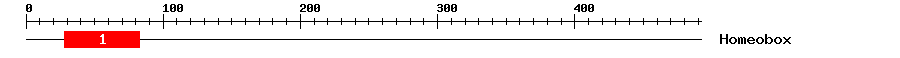 Signature Domain