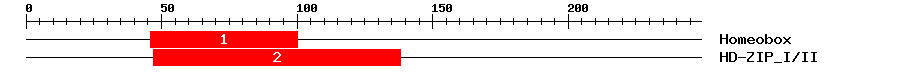 Signature Domain