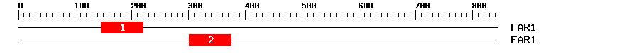 Signature Domain