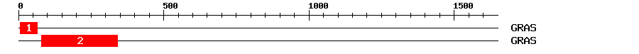 Signature Domain
