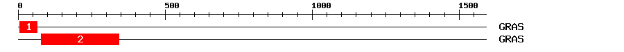 Signature Domain