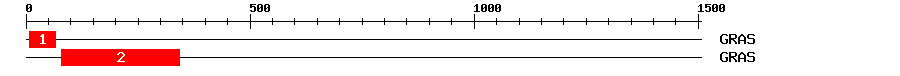 Signature Domain