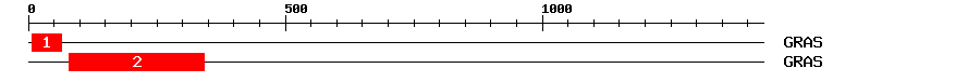 Signature Domain
