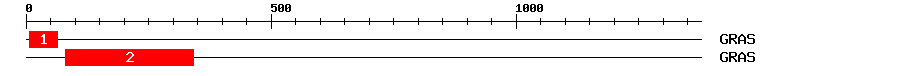 Signature Domain