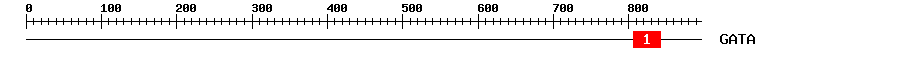 Signature Domain