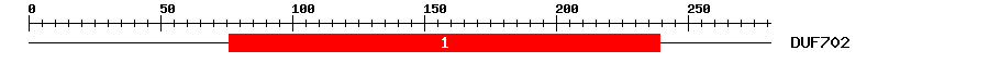 Signature Domain