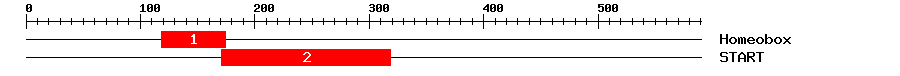 Signature Domain