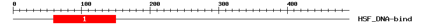 Signature Domain