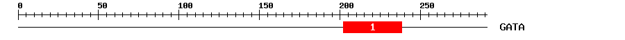 Signature Domain