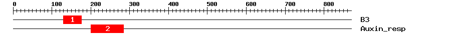 Signature Domain