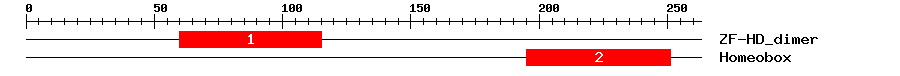 Signature Domain