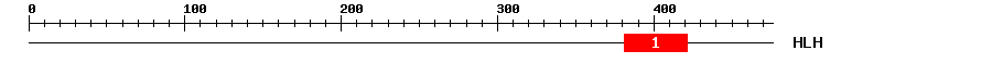 Signature Domain