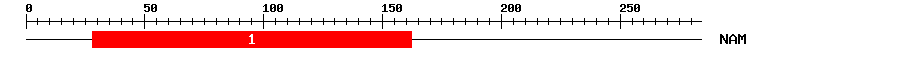 Signature Domain