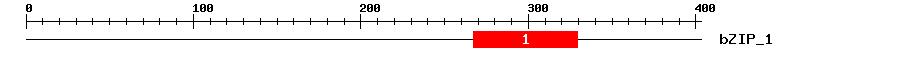 Signature Domain