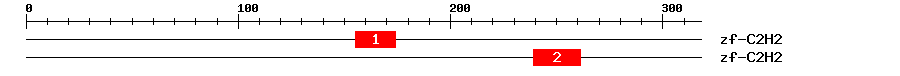 Signature Domain