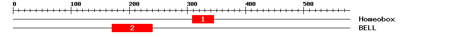 Signature Domain