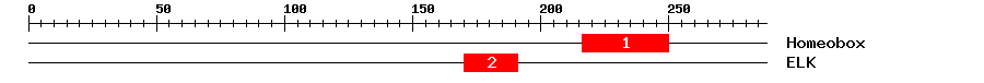 Signature Domain