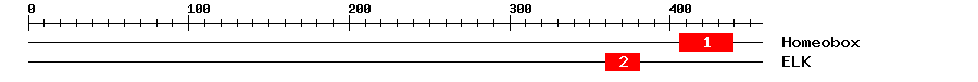 Signature Domain