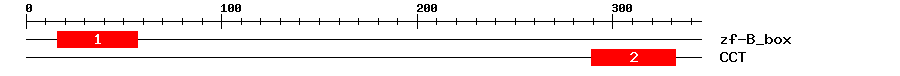 Signature Domain