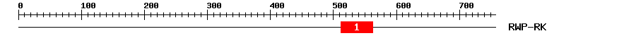 Signature Domain