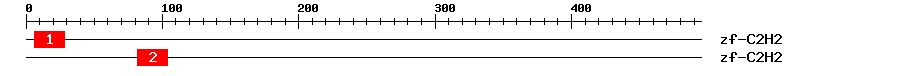 Signature Domain