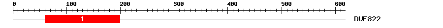 Signature Domain