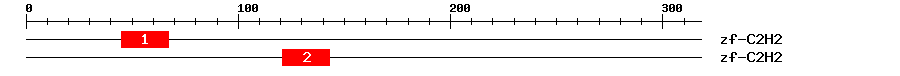 Signature Domain