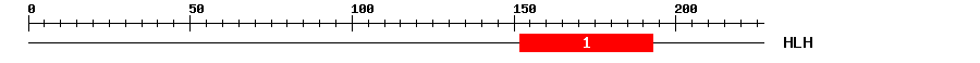 Signature Domain